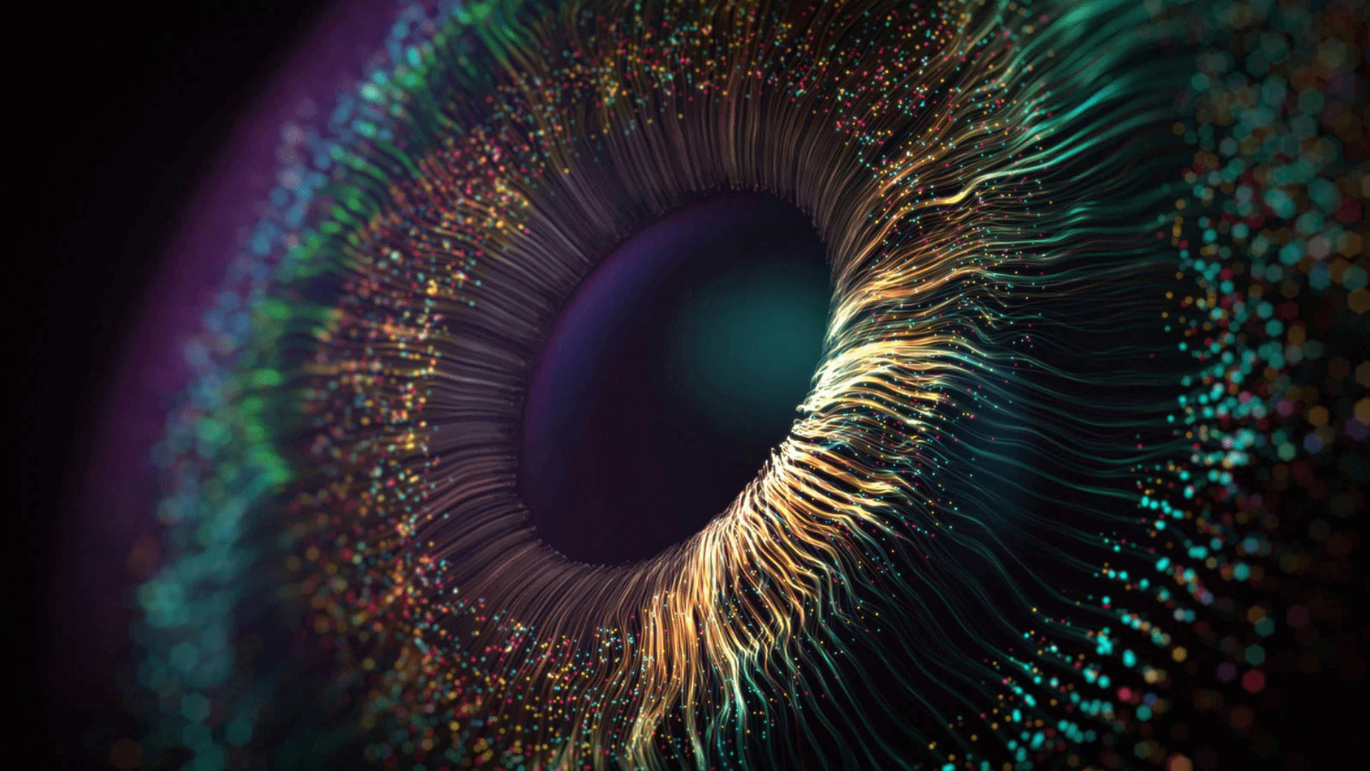 NET@PRO: dalla fabbrica al futuro digitale